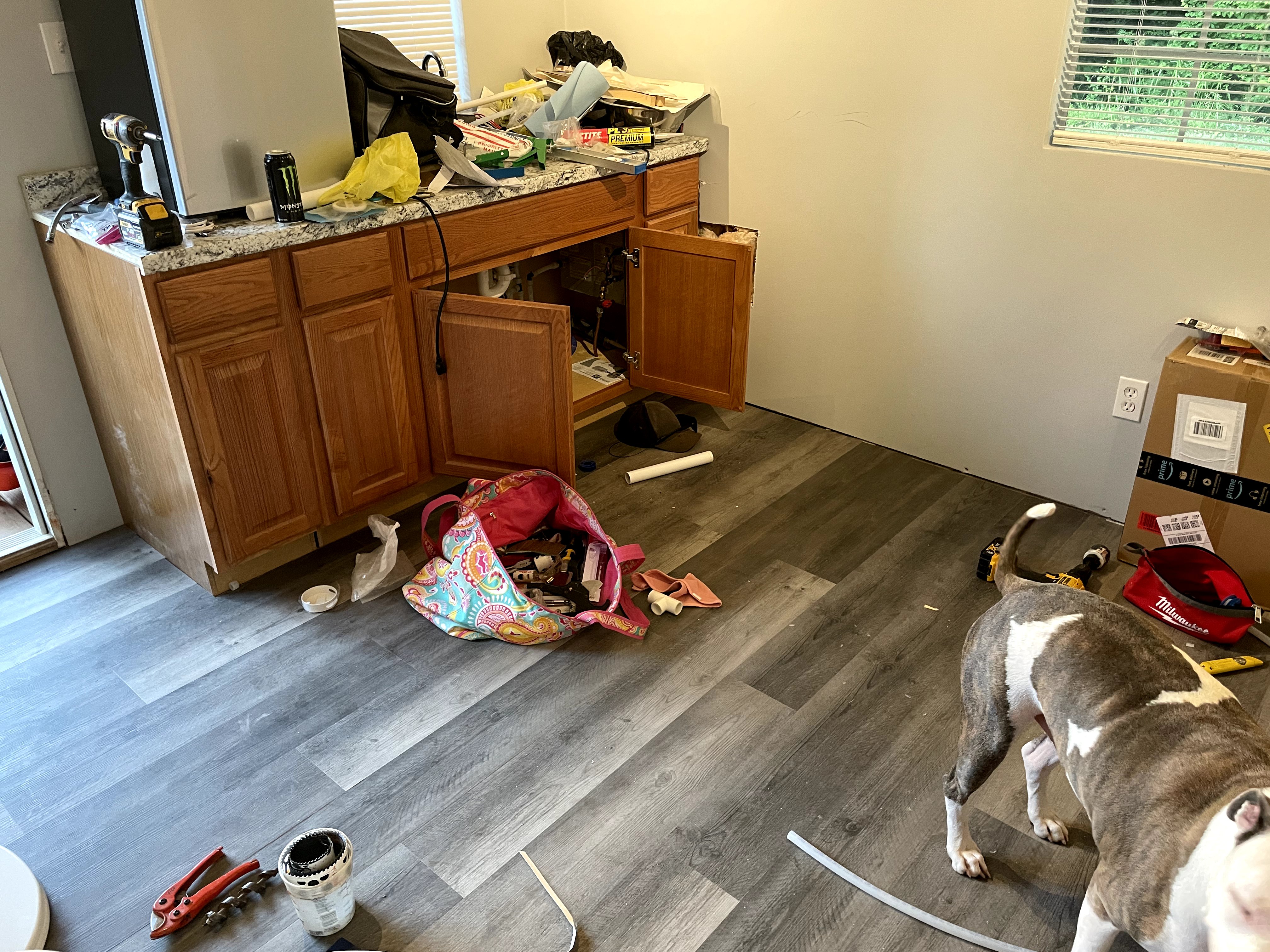 Interior Work Starts