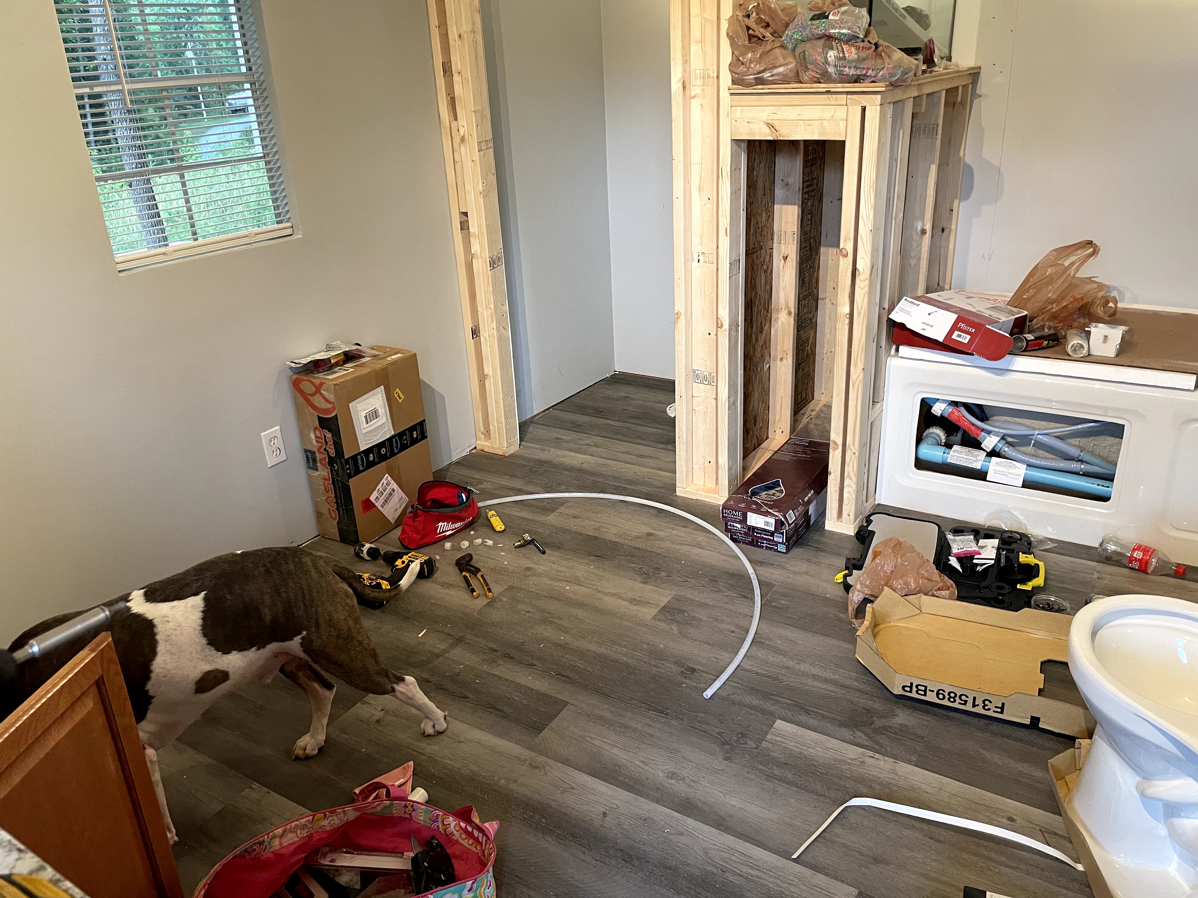 Interior Work Starts